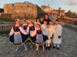 Kwiat na Kamieniu